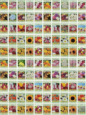 Valley Greene assorted flower varieties envelopes for organized sowing.
