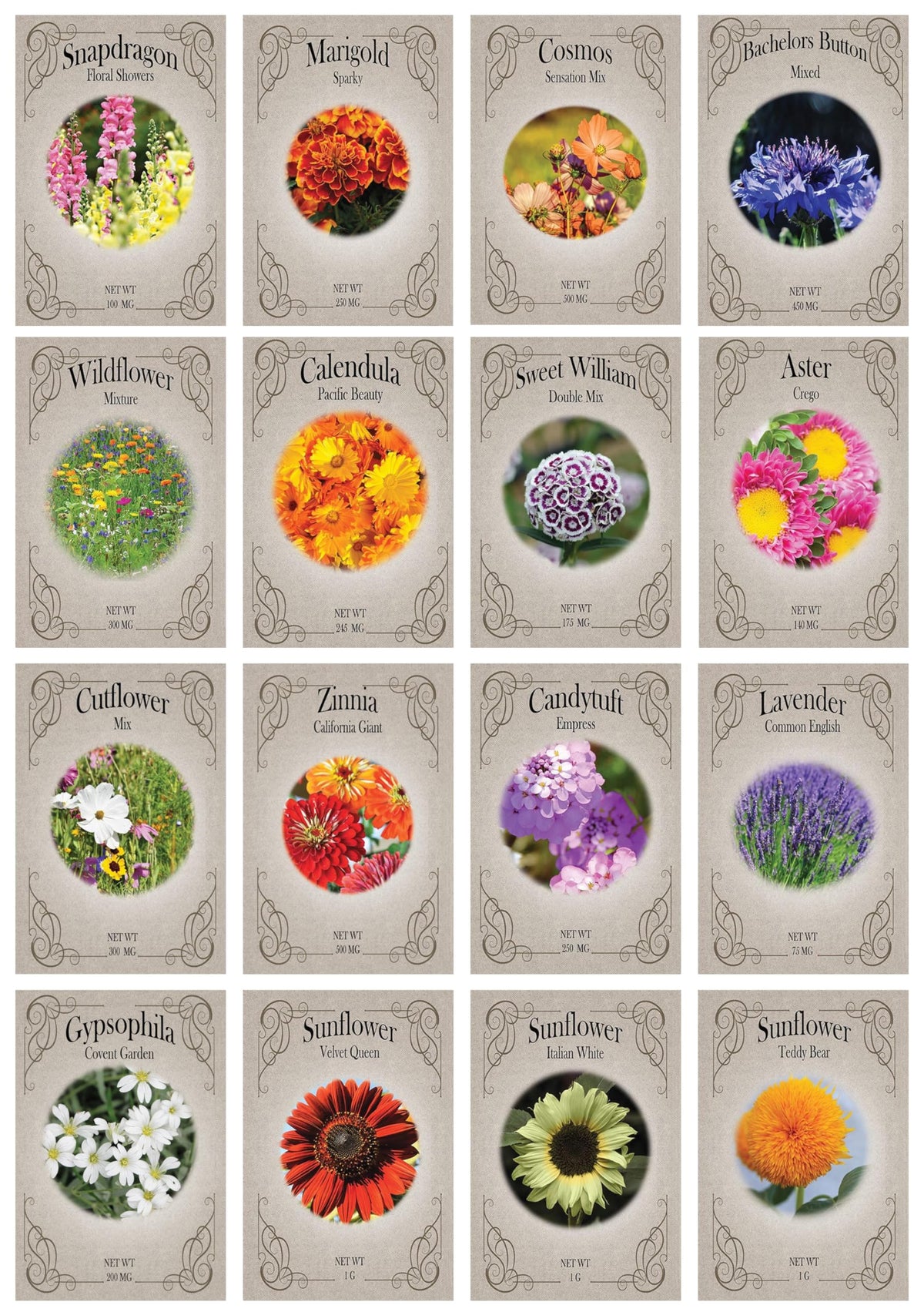 Valley Greene set-16-seed-packet image shows the complete seed collection ready for sowing.