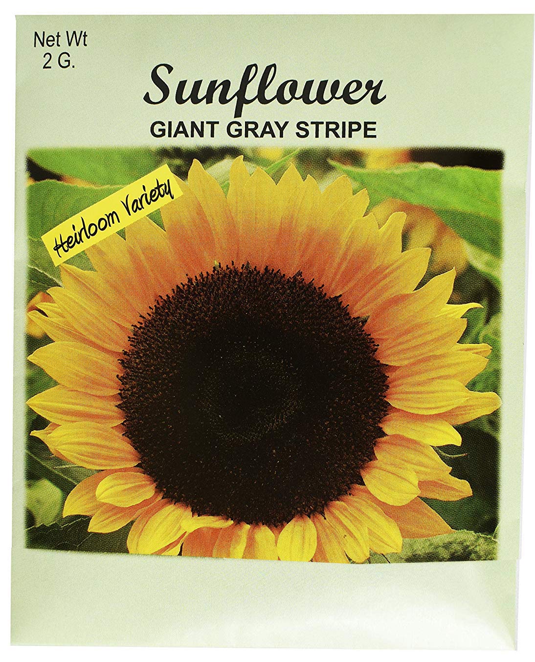 Valley Greene set of 50 flower seed packets with 21 heirloom varieties for vibrant garden color.