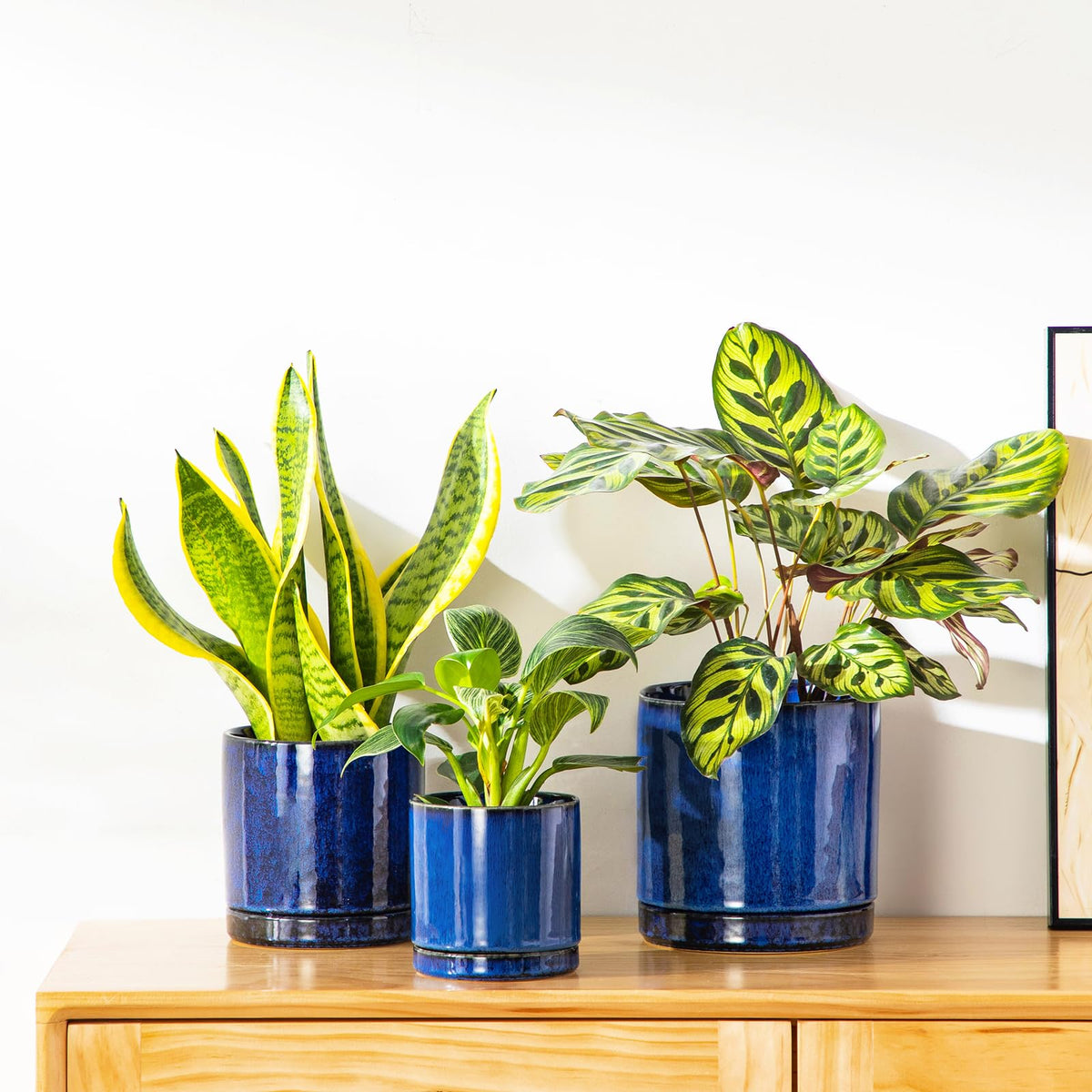 Gift-ready blue ceramic plant pot set by Vancasso