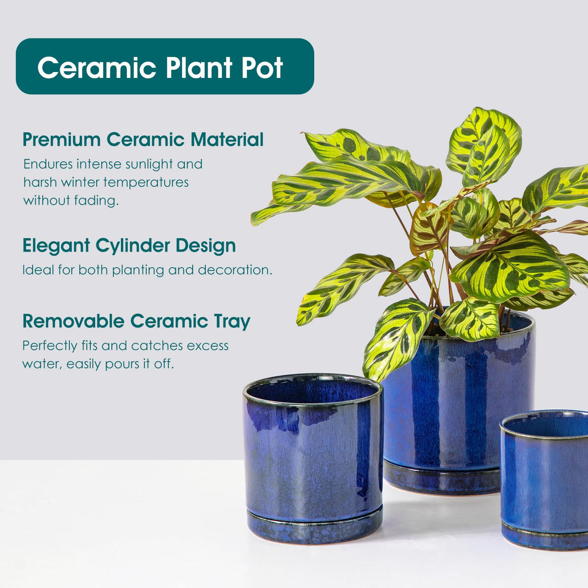 Drainage tray included with blue Vancasso ceramic pot