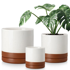 Vancasso ceramic planter set in khaki for versatile indoor displays.