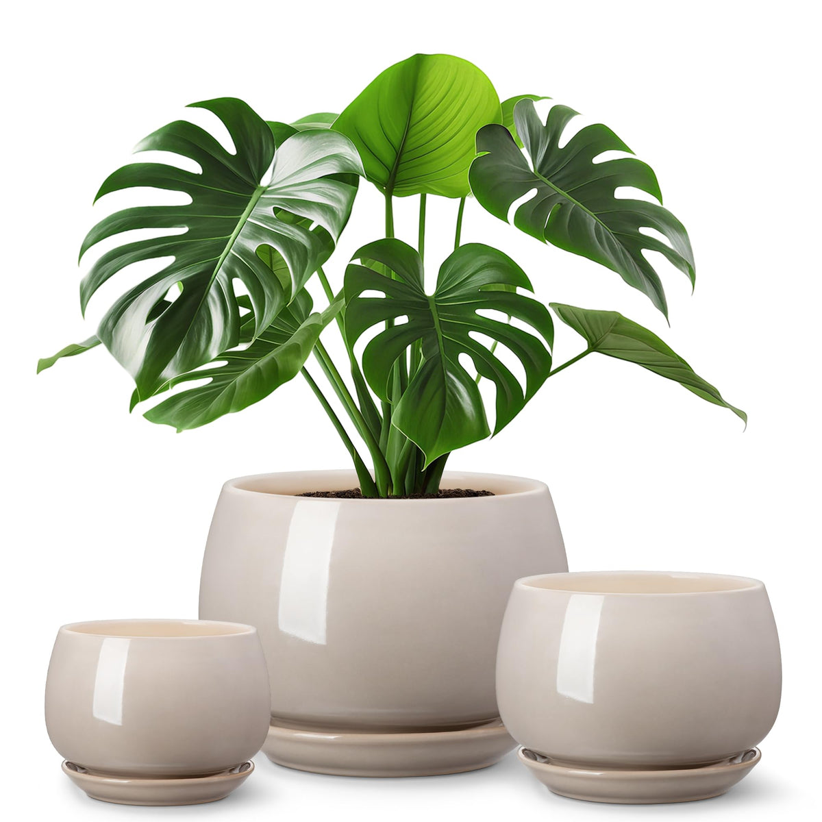 Vancasso 3.7-inch gray ceramic pot with drainage for small succulents