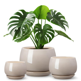 Vancasso 3.7-inch gray ceramic pot with drainage for small succulents