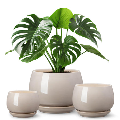 Vancasso 3.7-inch gray ceramic pot with drainage for small succulents