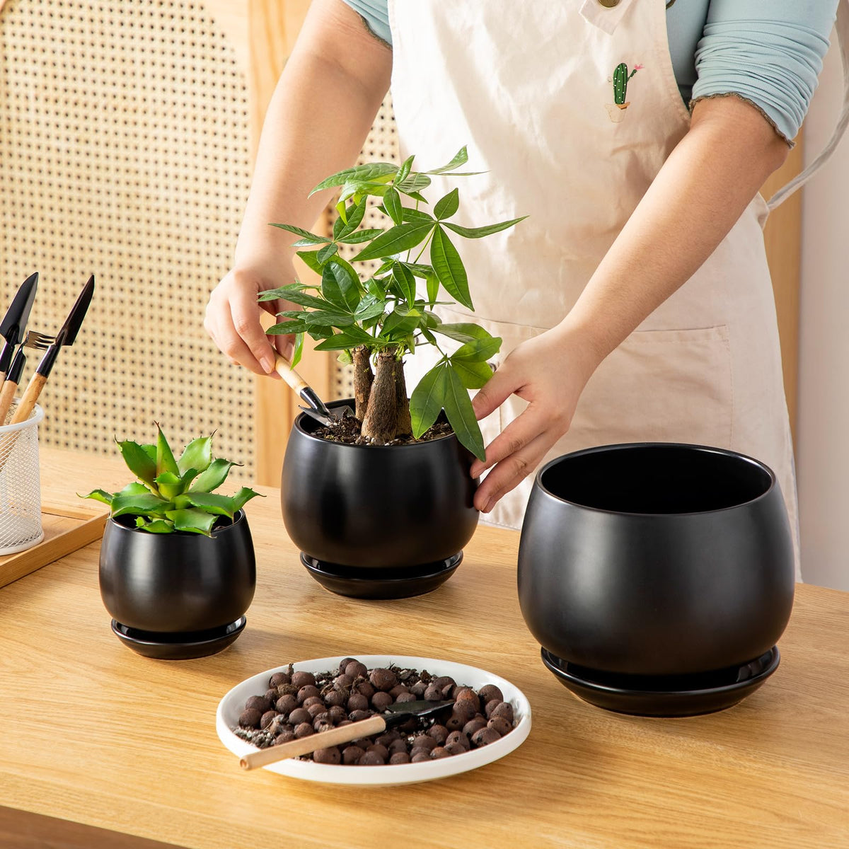 Vancasso 6.2-inch ceramic pot highlights larger plants in style.