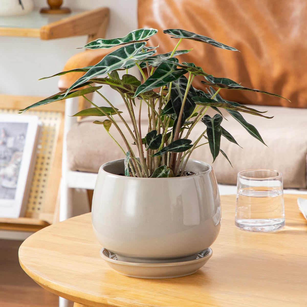 Vancasso gray pot with mesh filter keeps soil tidy