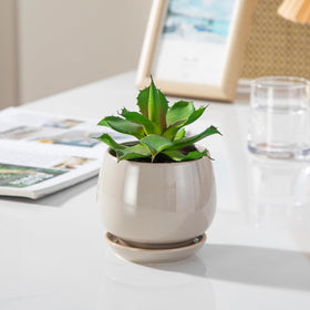Vancasso gray pot with removable plug for drainage flexibility