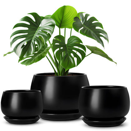 Vancasso ceramic pots trio in black glaze for a cohesive indoor display.