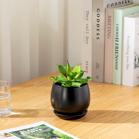 Vancasso high-gloss glaze cleans easily and stays vibrant.