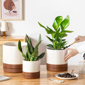 Vancasso large 10.25-inch pot provides room for healthy root growth.