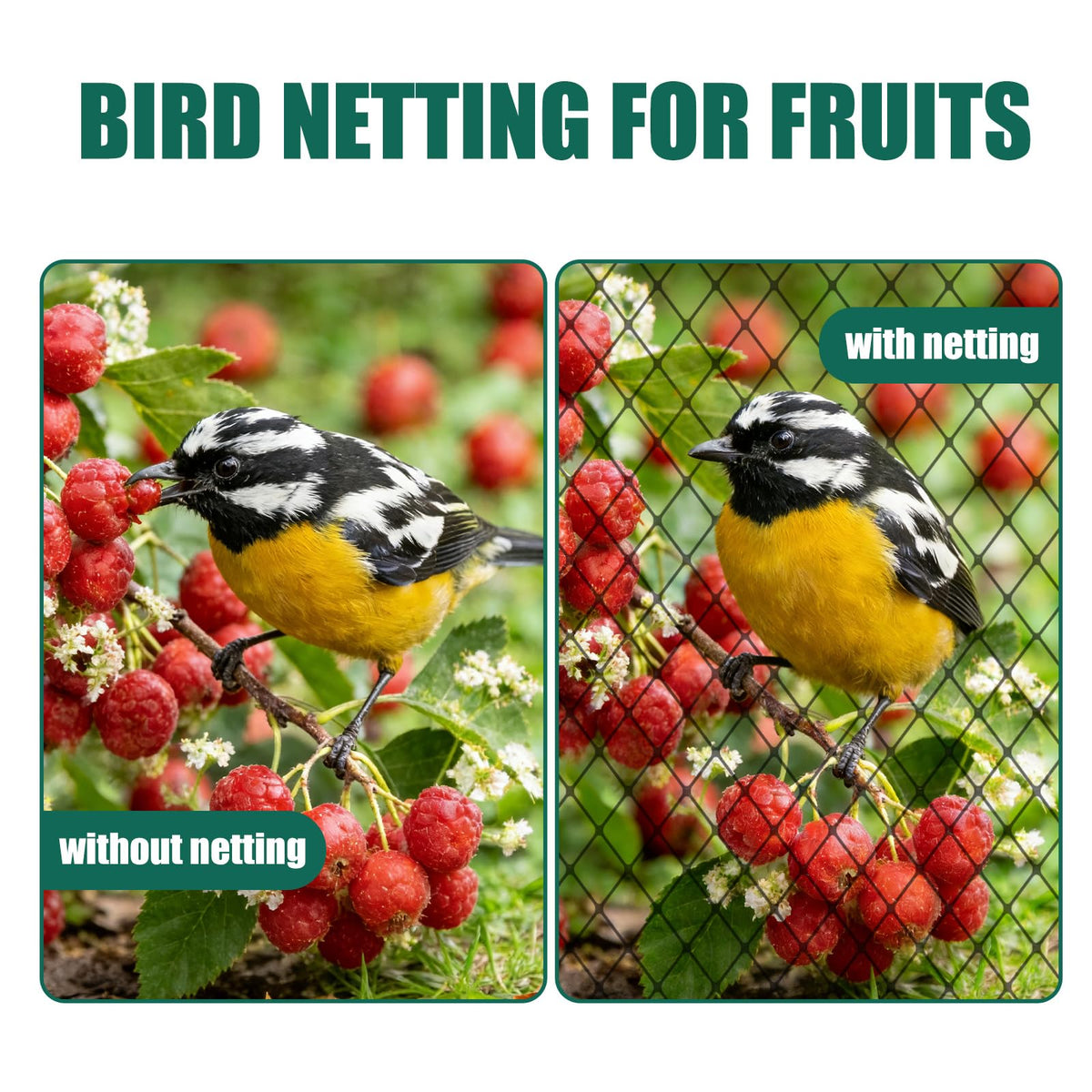 Vandham Bird Netting easy to attach with zip ties and fasteners