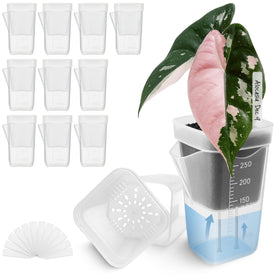 Vandorelle 12-pack small self-watering pots ideal for seed starting and propagation