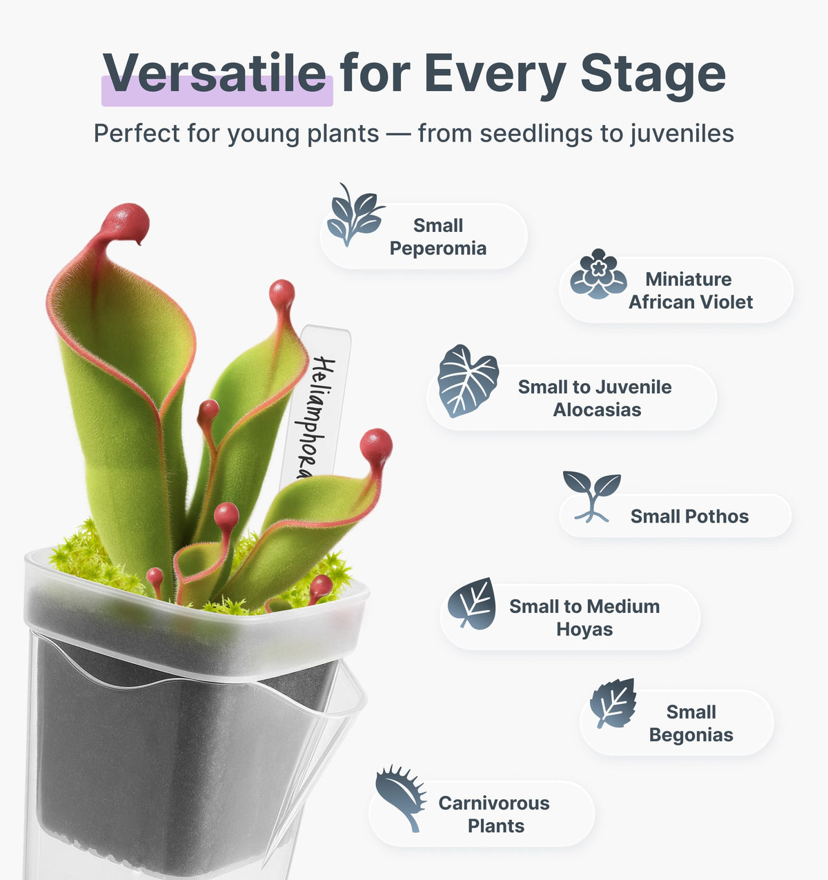 Vandorelle side-refill design enables easy watering without removing pots