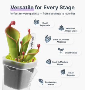 Vandorelle side-refill design enables easy watering without removing pots