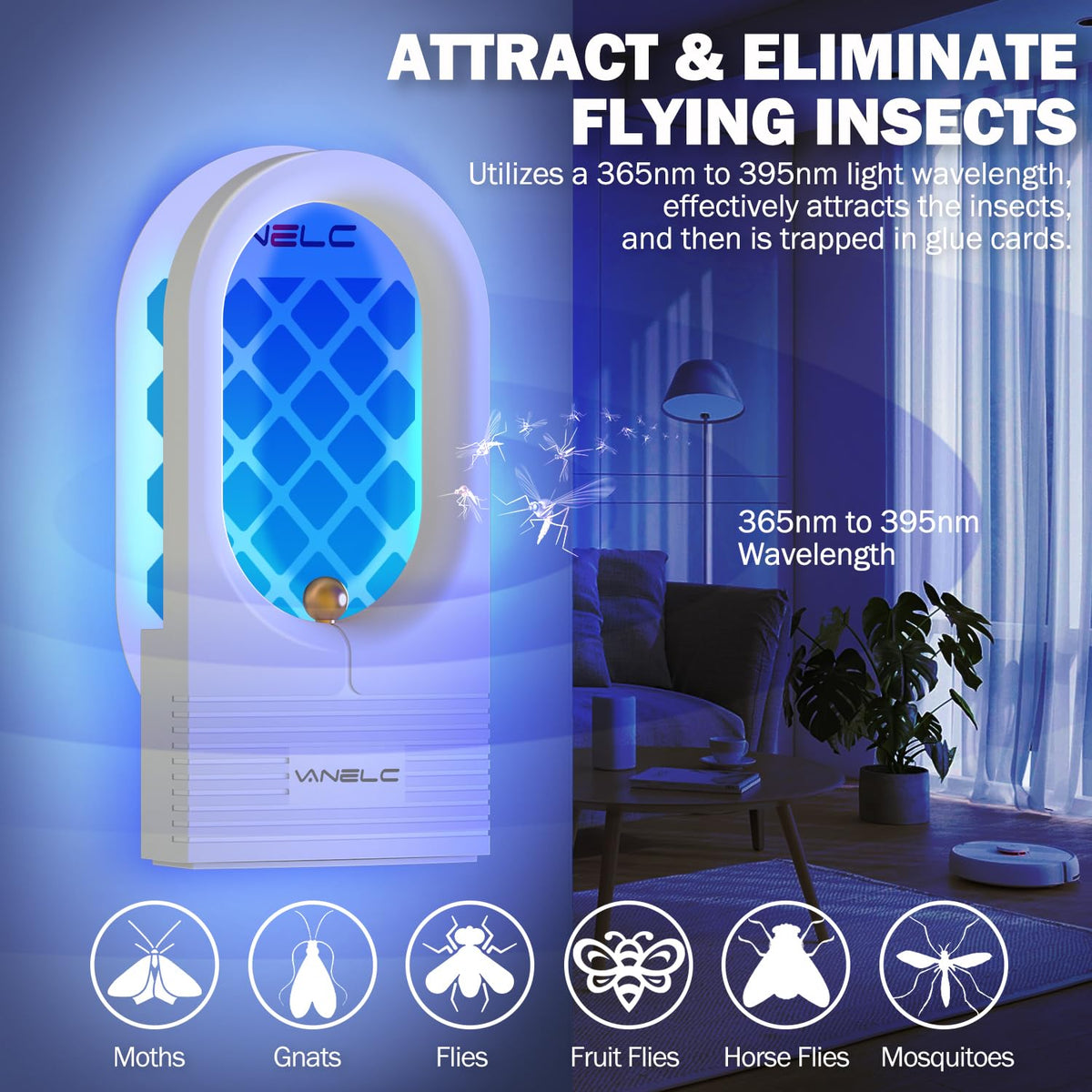 VANELC Fly Trap Indoor UV glow attracts flies quietly during evenings.