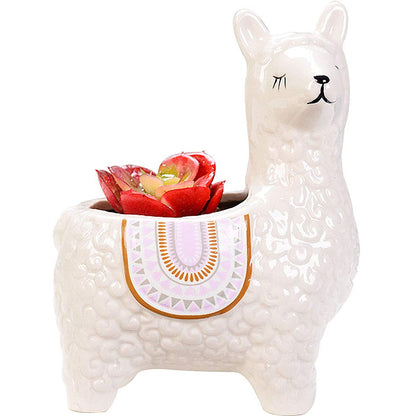 VanEnjoy hand-painted alpaca succulent pot adds whimsical indoor charm