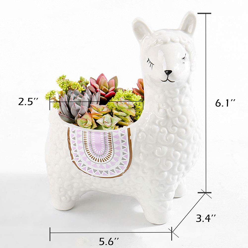VanEnjoy colorful alpaca ceramic planter brightens desks and shelves