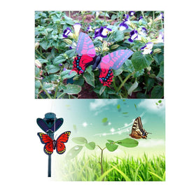 Vanki solar-panel butterfly detail highlights vivid hand-painted wings.