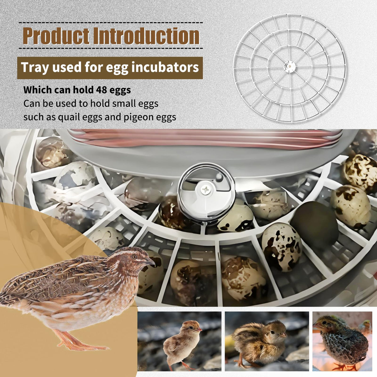 Vanshly nurture-right-360-compatible egg turner ensures smooth rotation inside the incubator