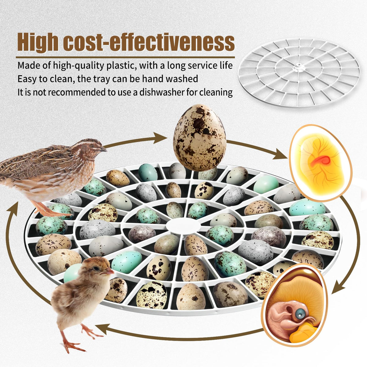 Vanshly small egg turner for quail eggs keeps delicate eggs gently rotated