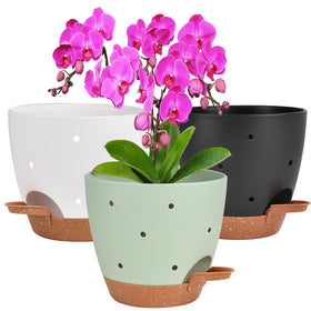 Vanslogreen 6 inch orchid pot with holes improving airflow for healthier roots.