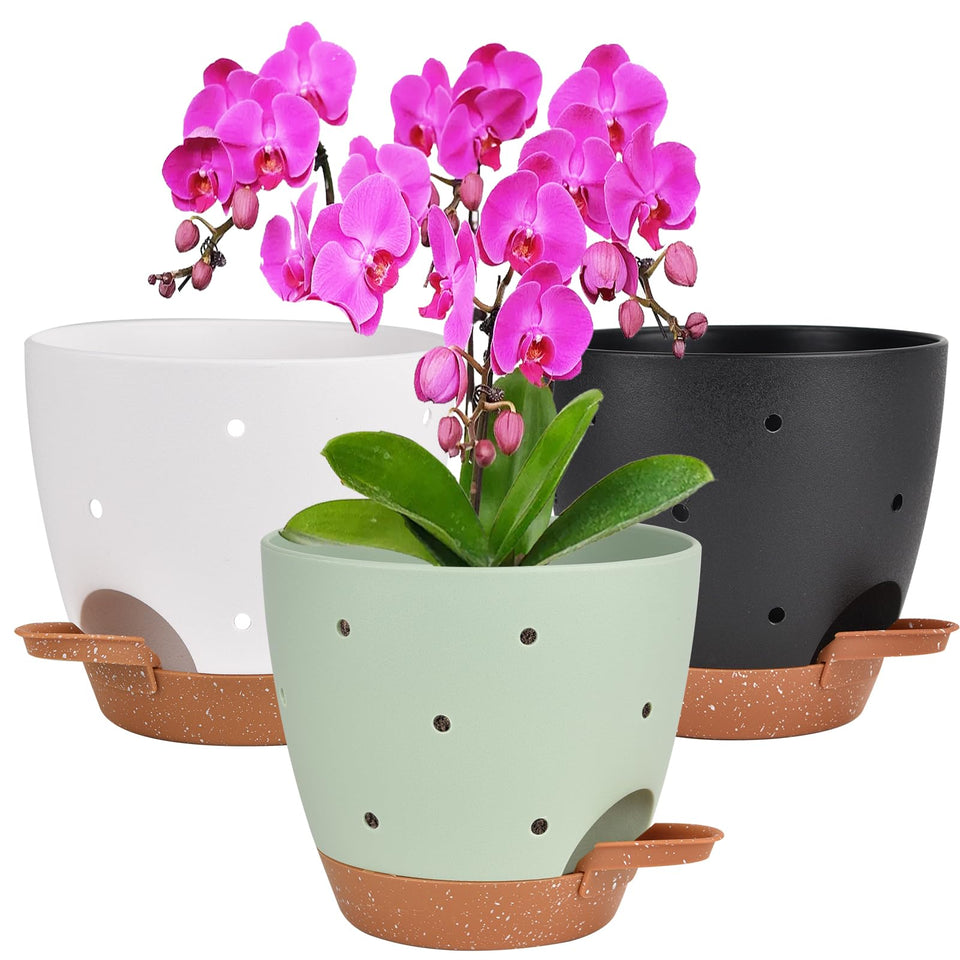 Vanslogreen 6 inch orchid pot with holes improving airflow for healthier roots.