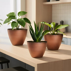 Vanslogreen 8-inch planter suitable for succulents herbs and aloes