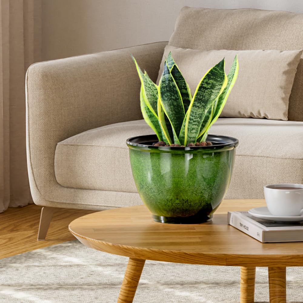 Vanslogreen lightweight 8-inch planter easy to reposition on windowsills.
