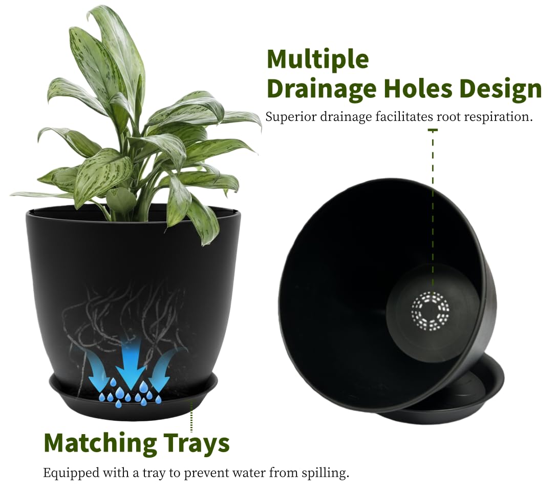 Vanslogreen matte-finish pot frames plants as the focal point.