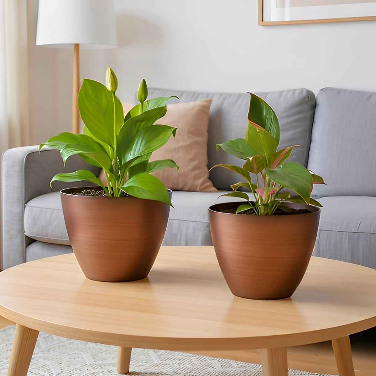 Vanslogreen durable plastic planter ideal for year-round use