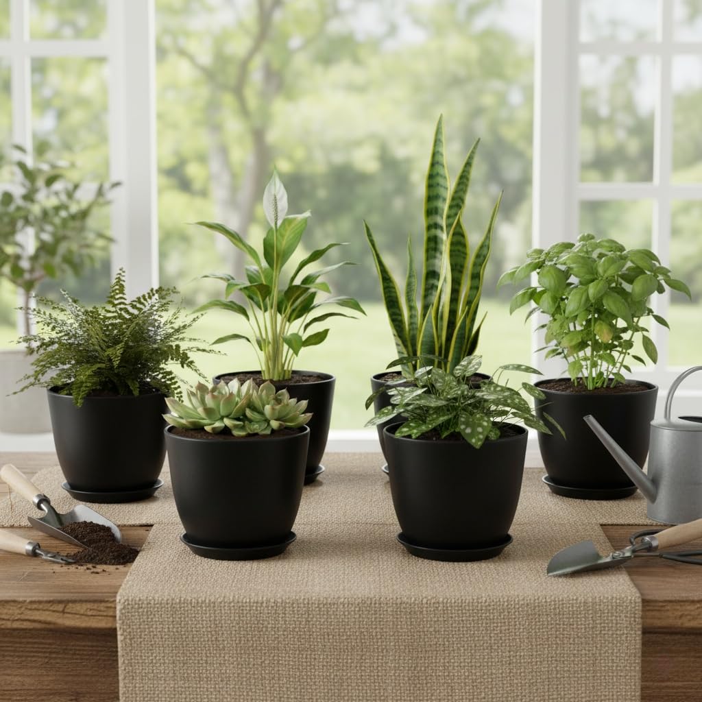 Vanslogreen versatile indoor-outdoor planters suit decor and gifting.
