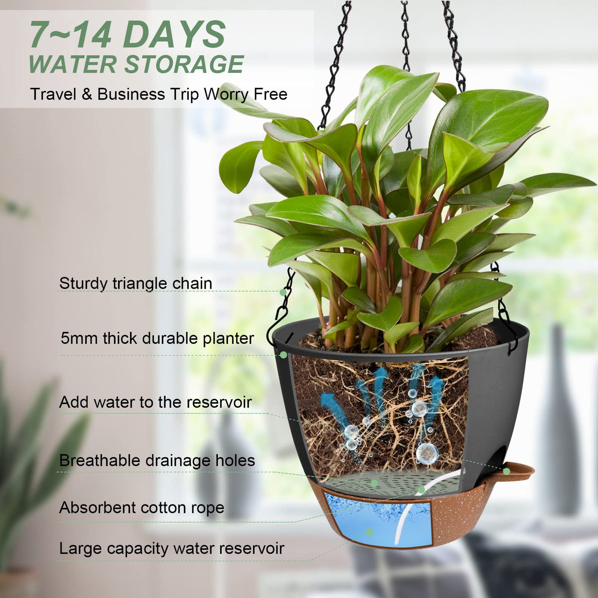 Vanslogreen hanging planter with drainage holes helps prevent waterlogging for healthy roots.