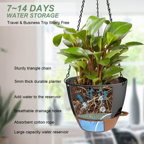 Vanslogreen hanging planter with drainage holes helps prevent waterlogging for healthy roots.