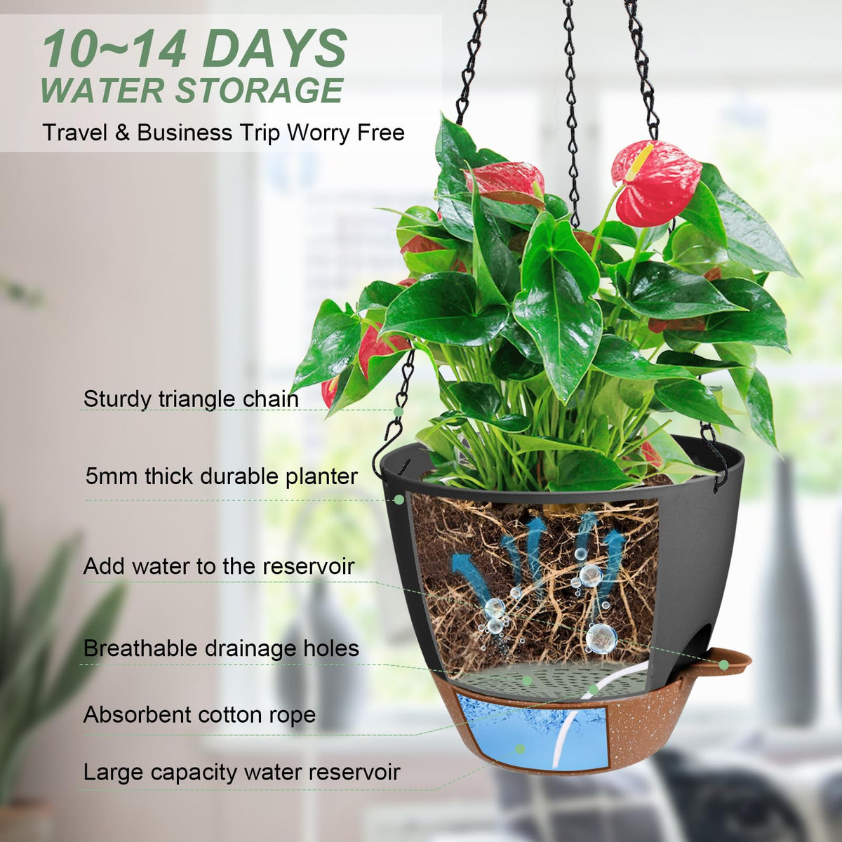Vanslogreen hanging planter shows drainage holes for proper water flow.