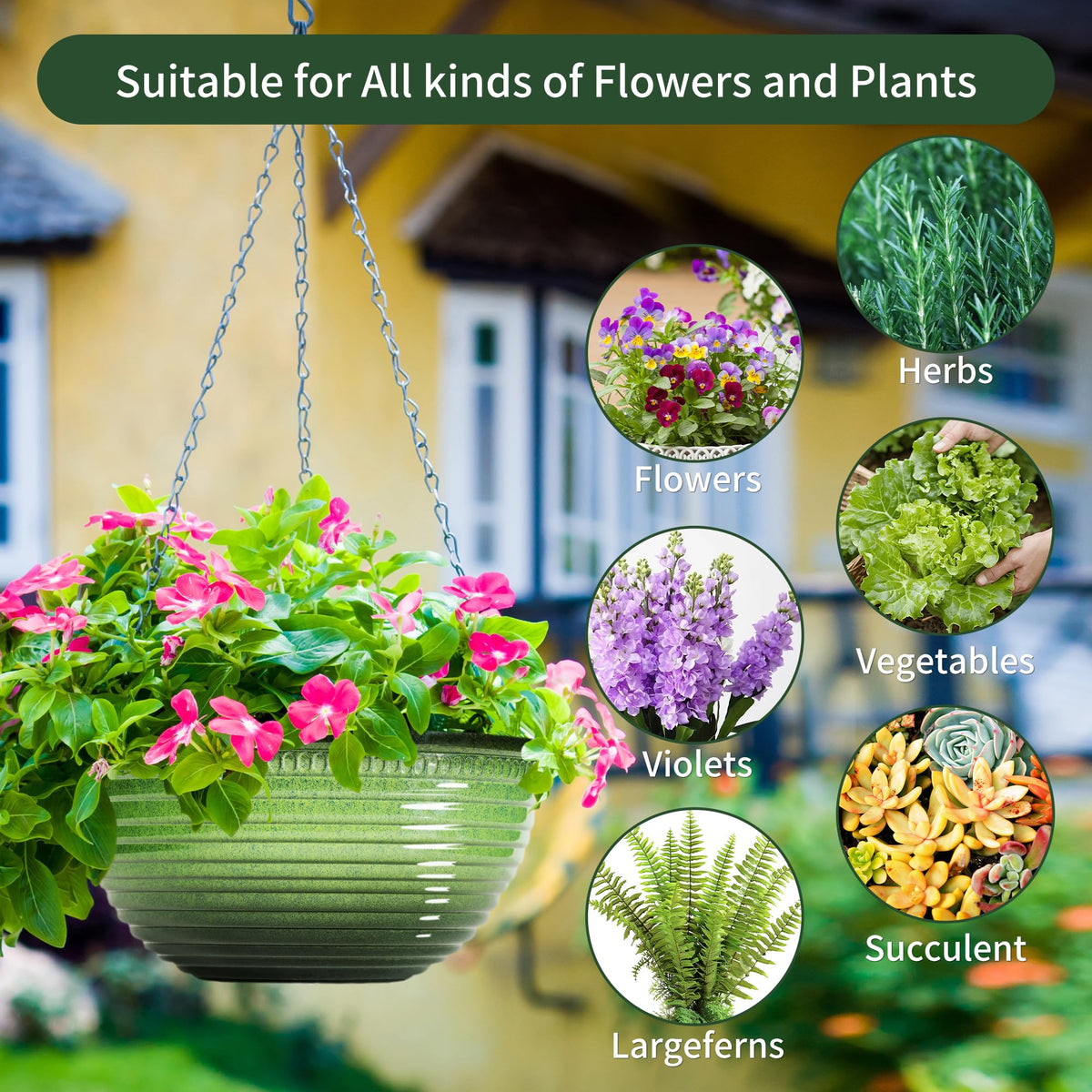 Vanslogreen hanging planter mounted on balcony showcasing outdoor greenery.