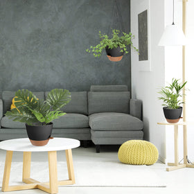Vanslogreen 8-inch planter fits ivy, ferns, and succulents with ease.
