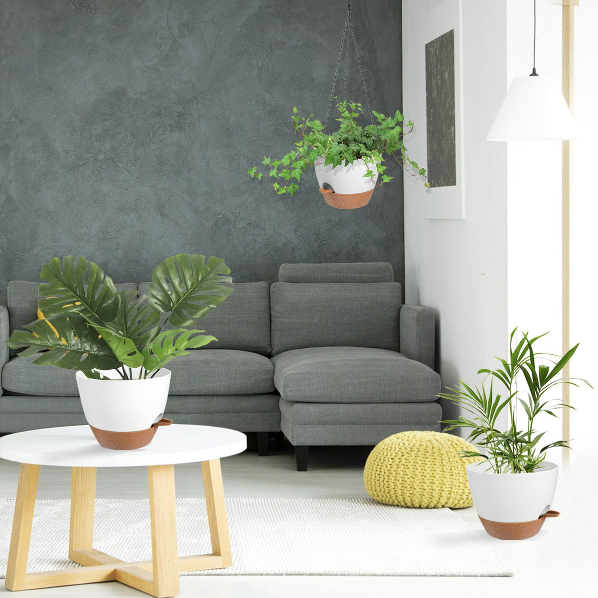 Vanslogreen space-saving hanging planter ideal for small areas.