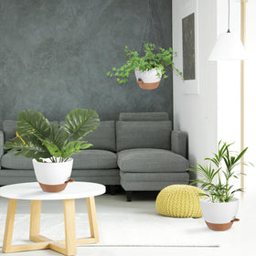 Vanslogreen space-saving hanging planter ideal for small areas.