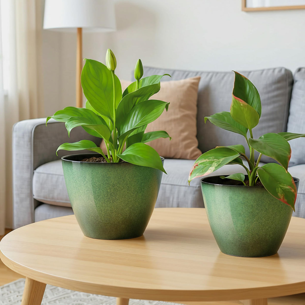 Vanslogreen herb and succulent pot supports healthy growth and stylish display.