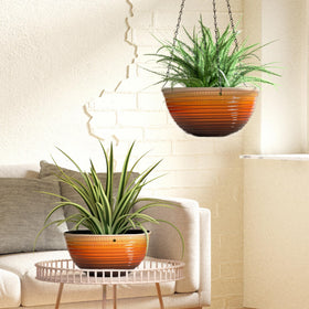Vanslogreen indoor/outdoor hanging baskets enhance rooms, patios, and balconies.