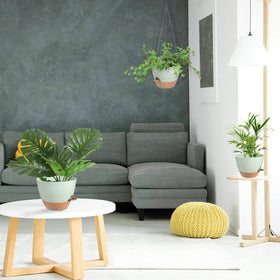 Vanslogreen indoor-outdoor versatility suits patios, balconies, and gardens.