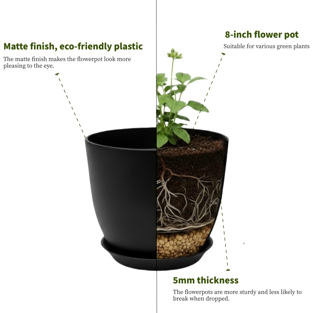 Vanslogreen pot with drainage holes supports healthy watering.