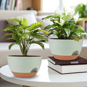 Vanslogreen modern minimalist plant pot complements home decor.