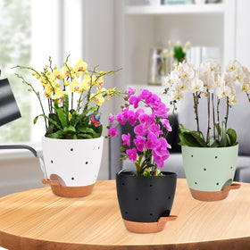Vanslogreen orchid pot designed for indoor and outdoor display.
