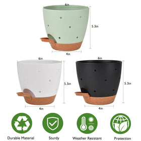 Vanslogreen orchid pot showing water level view for precise watering.