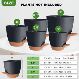 Vanslogreen removable watering lip helps monitor water without overwatering.