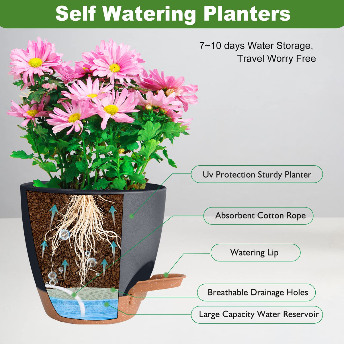 Vanslogreen planter bottom drainage holes promote soil aeration and healthy roots.