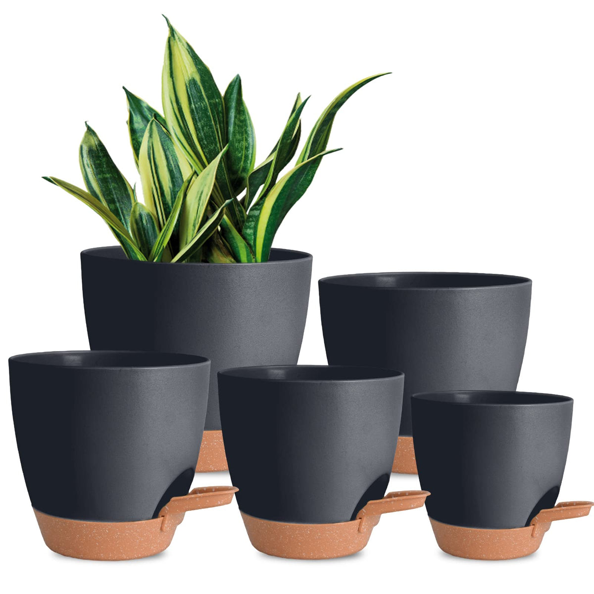 Vanslogreen pack of pots in seven sizes for flexible indoor planting.