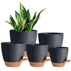 Vanslogreen pack of pots in seven sizes for flexible indoor planting.